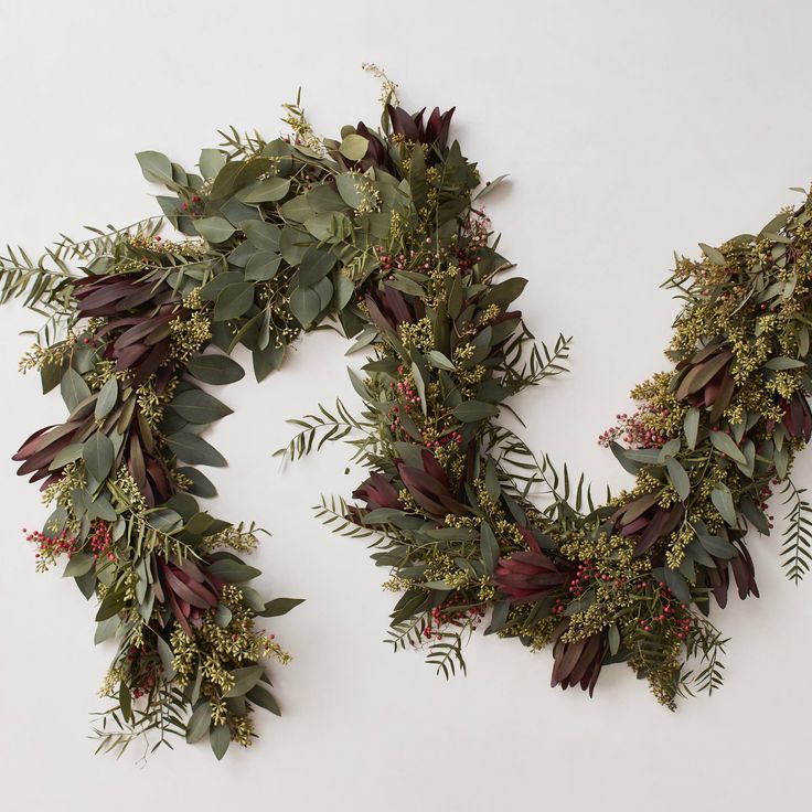 two wreaths with green leaves and red berries hanging on the wall next to each other