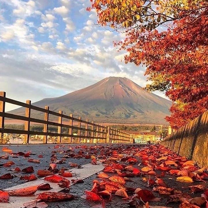 red leaves on the ground next to a fence with a mountain in the background at sunset