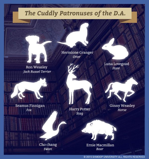 the cuddly patrons of the d a poster is shown in white on a blue background