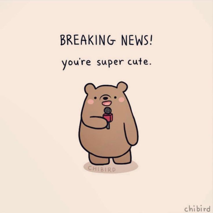 a cartoon bear holding a microphone with the caption breaking news you're super cute