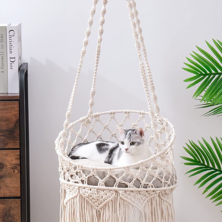 a cat is laying in a macrame hammock hanging from the ceiling