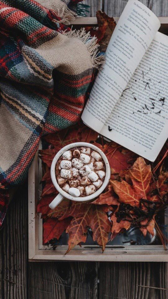 a cup of hot chocolate with marshmallows and an open book