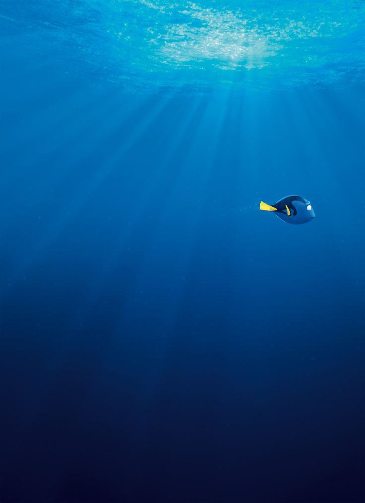 an underwater view of a blue ocean with sunlight coming through the water and a fish swimming in it