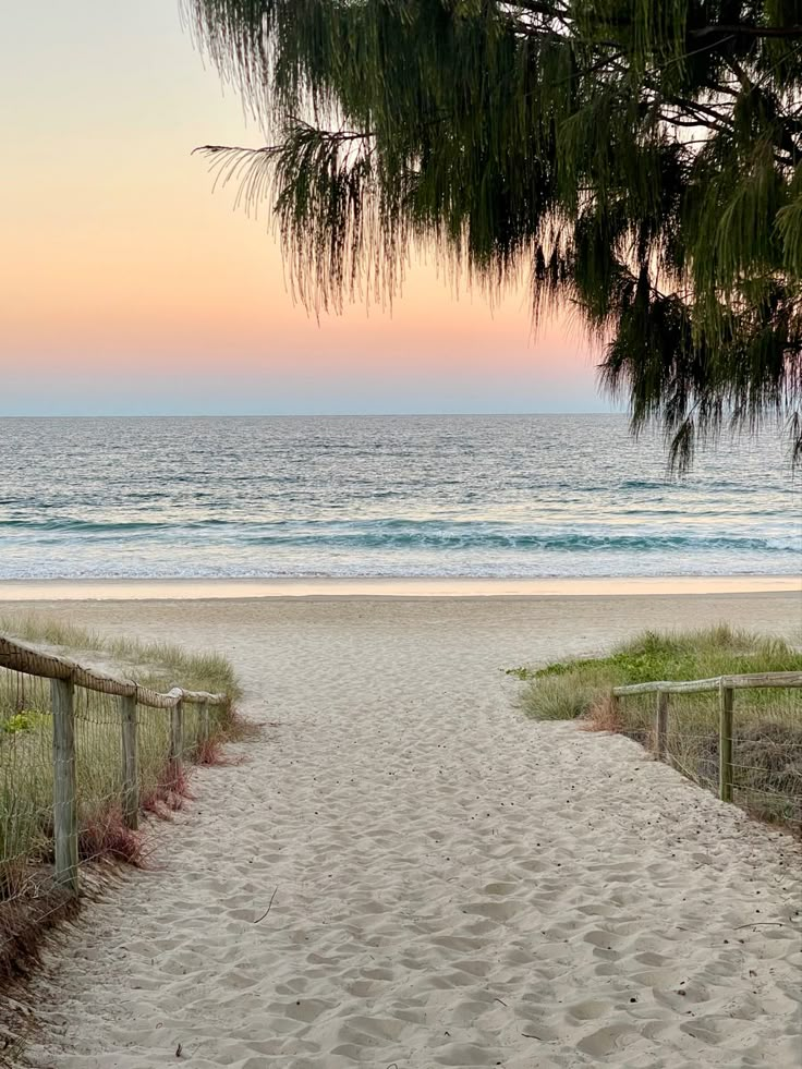 an empty path leading to the beach at sunset