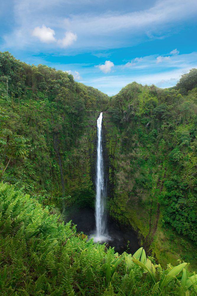 a large waterfall surrounded by lush green trees