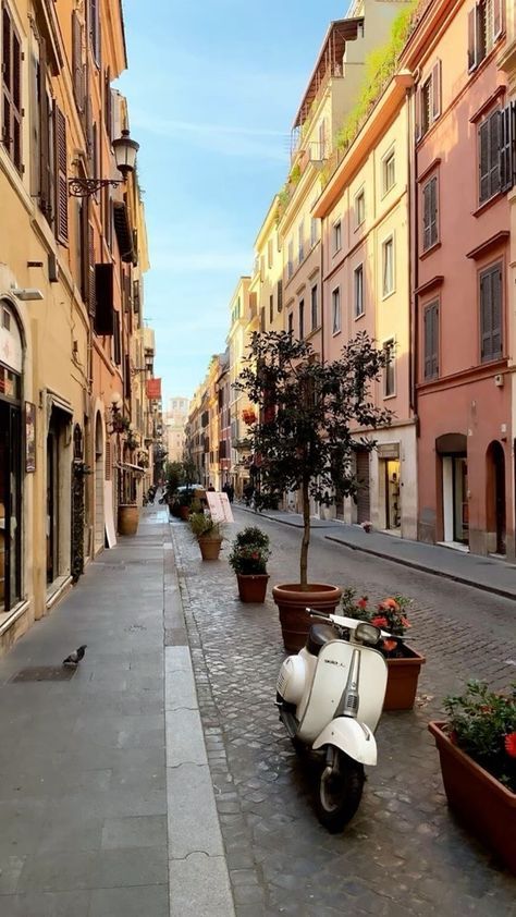 a scooter parked on the side of a street next to potted plants