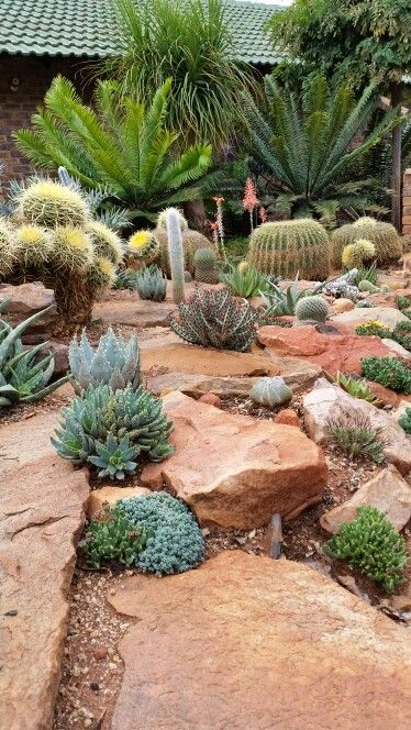 a garden filled with lots of different types of plants and rocks in front of a building