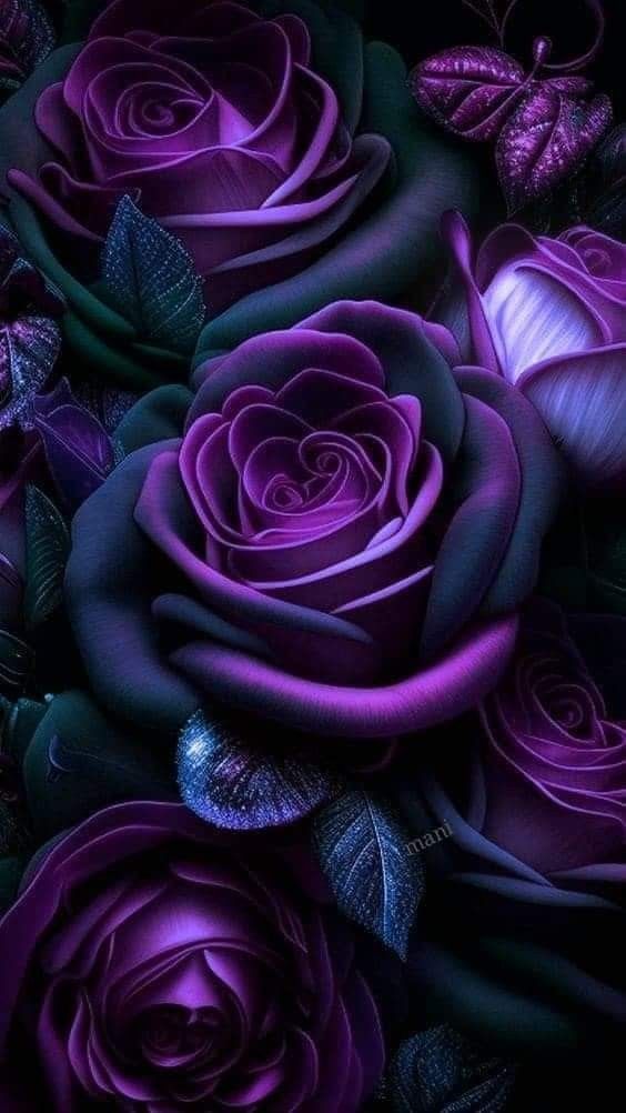 purple roses with green leaves and butterflies in the background, all lit up at night