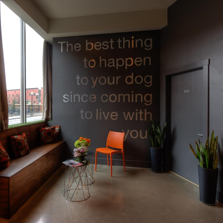 a living room with a couch and chair next to a wall that reads the best thing to happen to your dog since coming to live with you