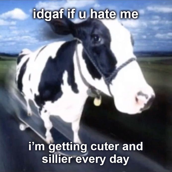 a black and white cow standing on top of a road next to a sky background