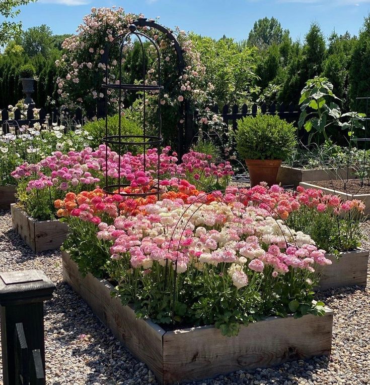 a garden filled with lots of colorful flowers