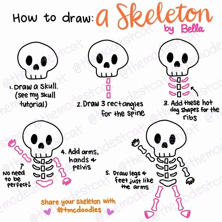 how to draw a skeleton with instructions for drawing the skull and other things in it