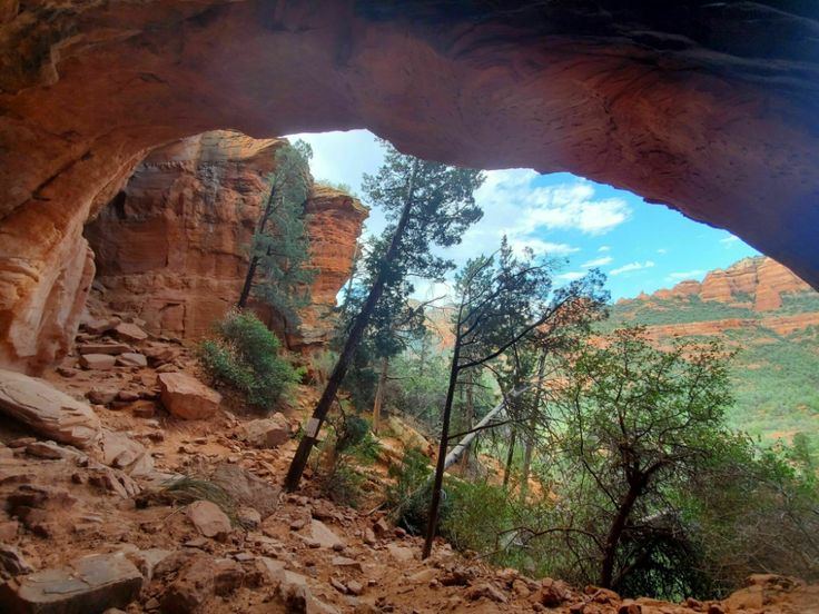 the view from inside an open cave looking down at trees and mountains