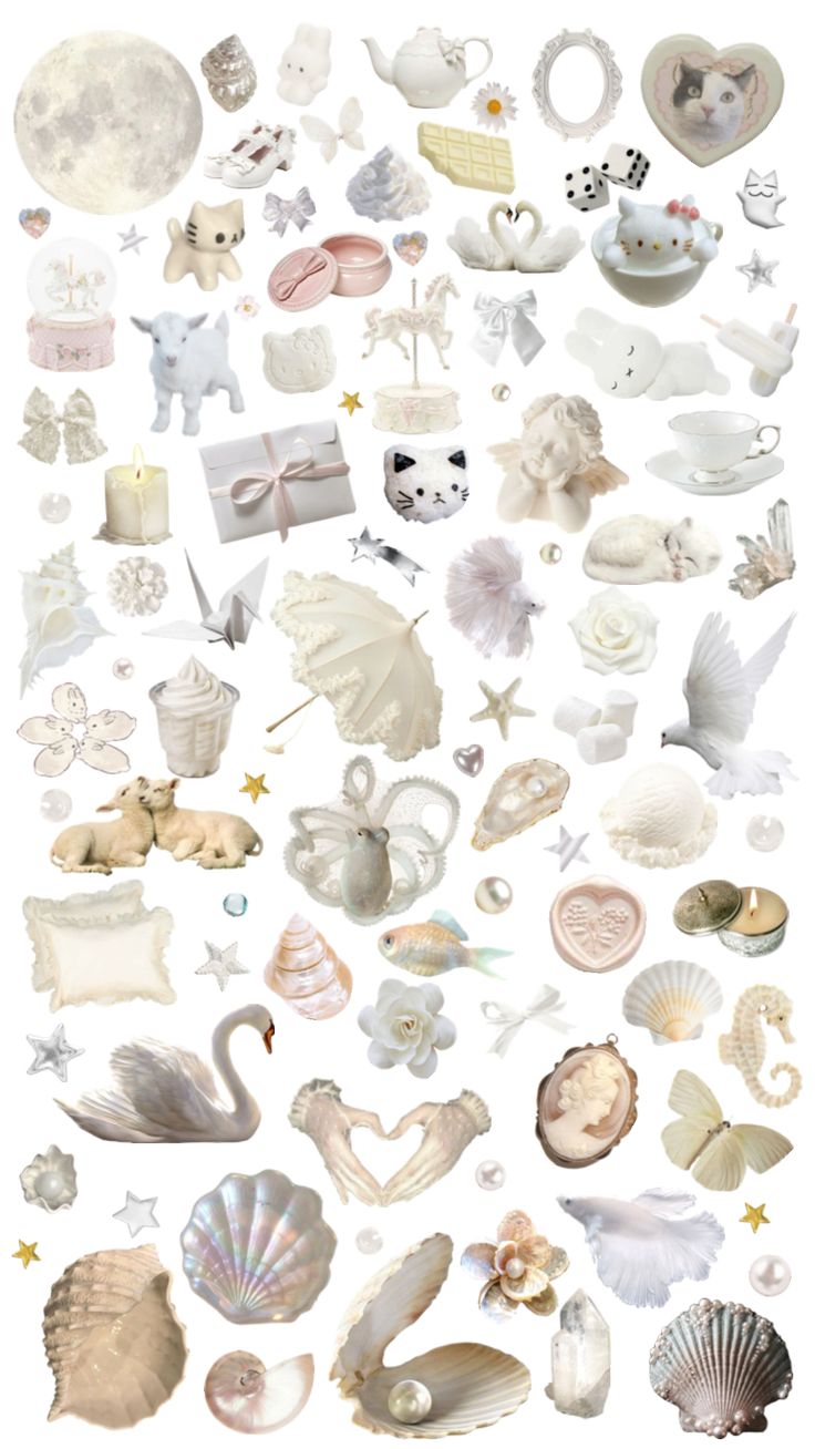 an assortment of seashells and shells are arranged on a white background with stars