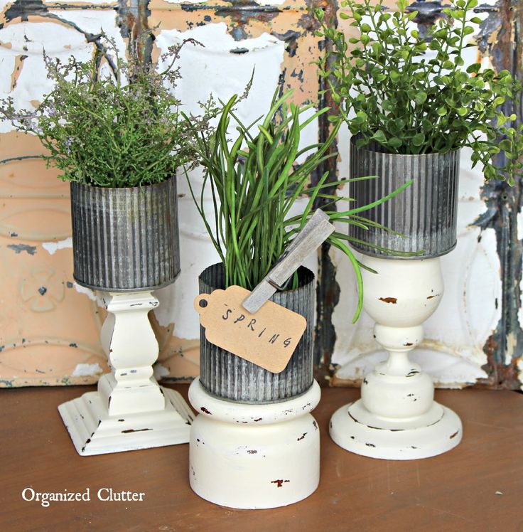 three potted plants are sitting on pedestals with a price tag attached to them