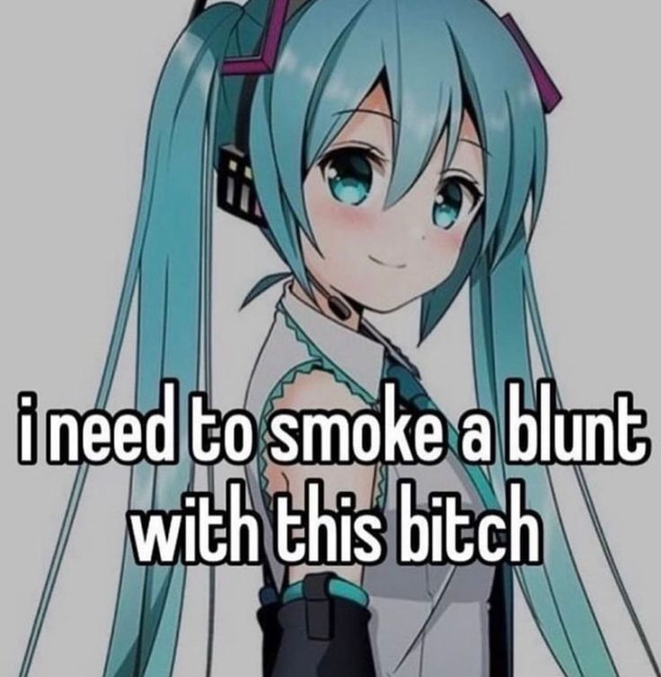 Miku Binder, Miku Hatsune Vocaloid, Vocaloid Funny, God Help Me, Anime Clothes, Cute Memes, Funny Anime Pics, Hatsune Miku, Blue Hair