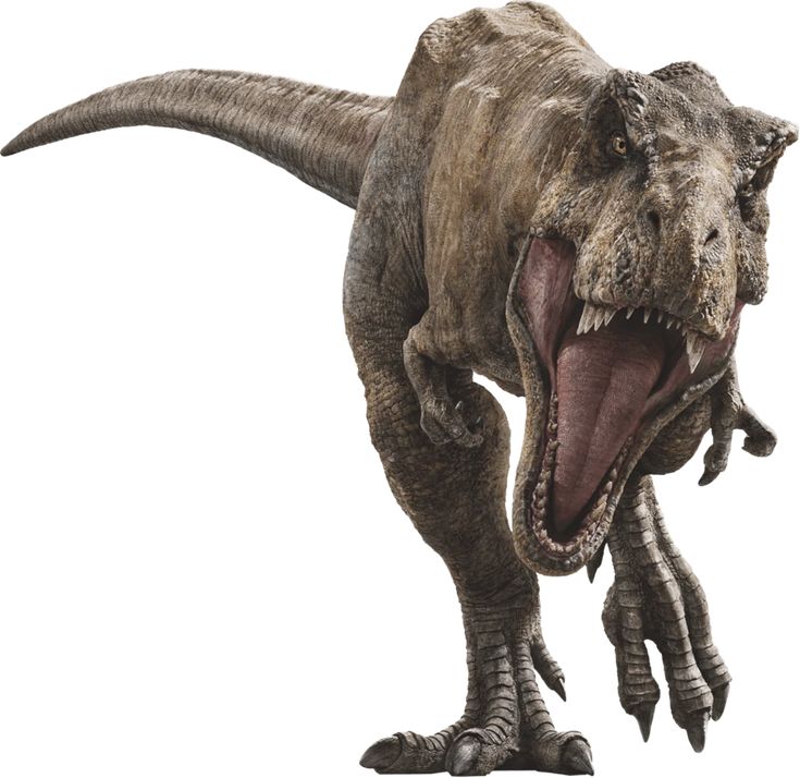 an image of a dinosaur with it's mouth open