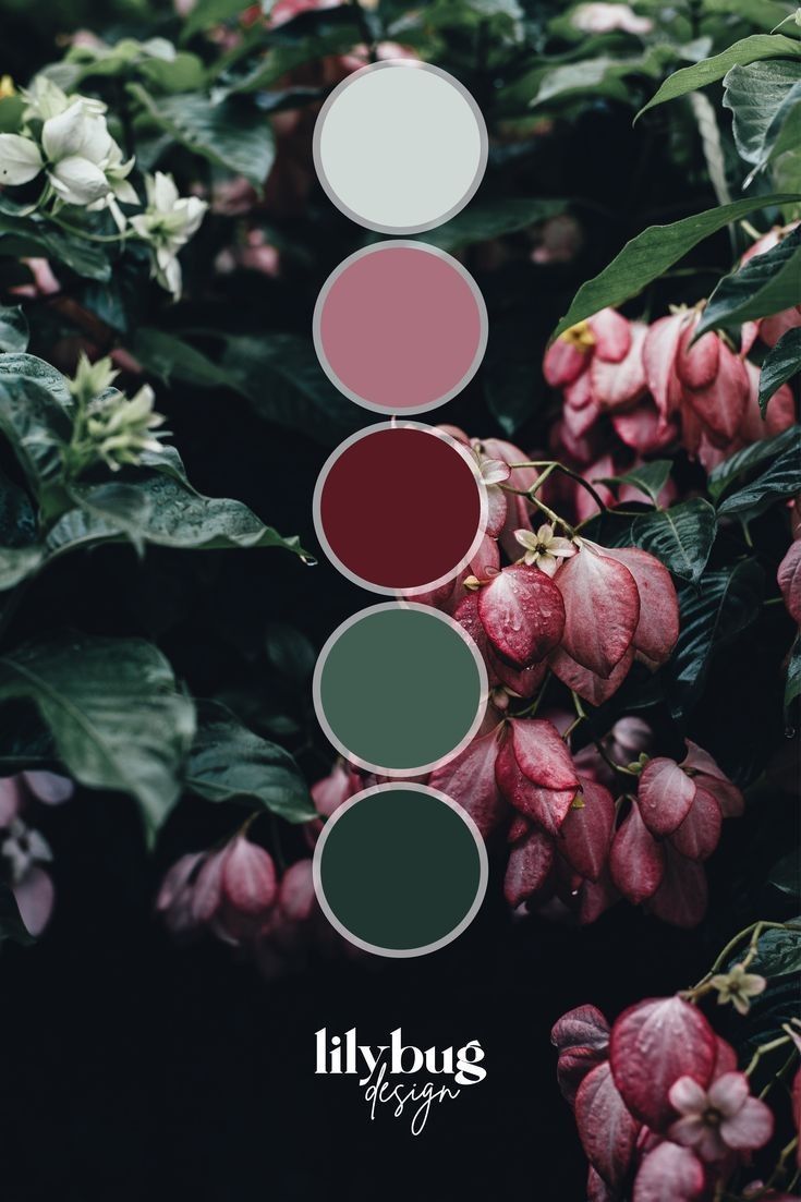 the color scheme for this photo is red, pink and green