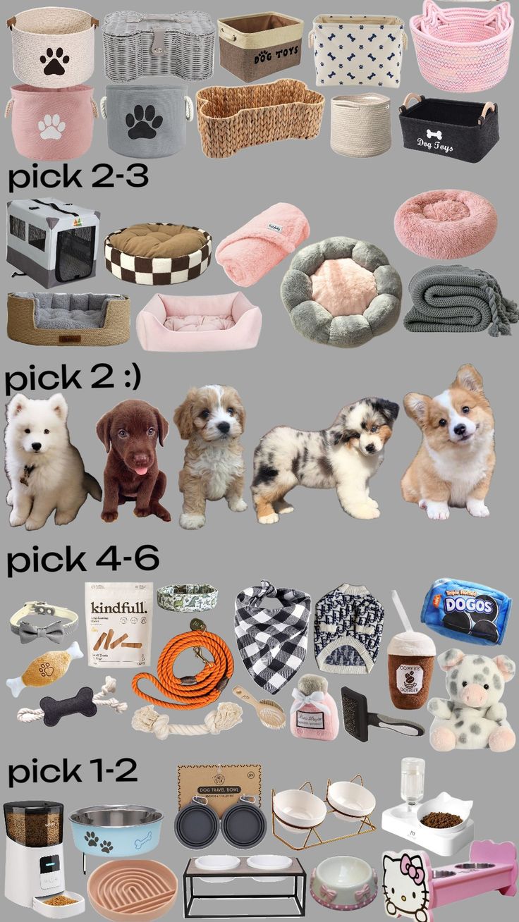 many different types of dog toys and their names are shown in this graphic style, including two