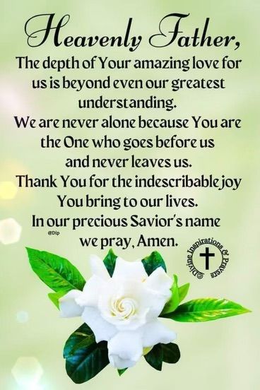 a white flower with green leaves and the words heavenly father