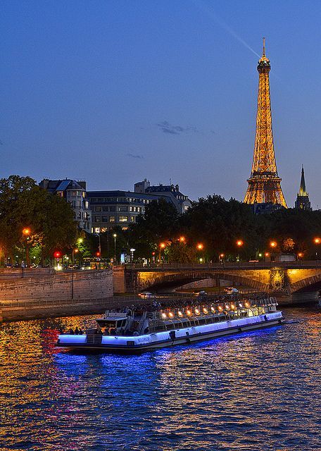 the eiffel tower is lit up at night over the river seine in paris