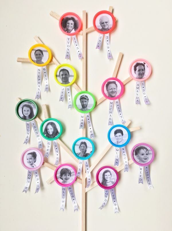 a family tree made out of clothes pins with pictures pinned to the top and ribbons around them