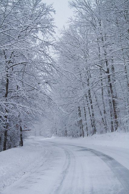 a snowy road surrounded by trees and snow covered ground