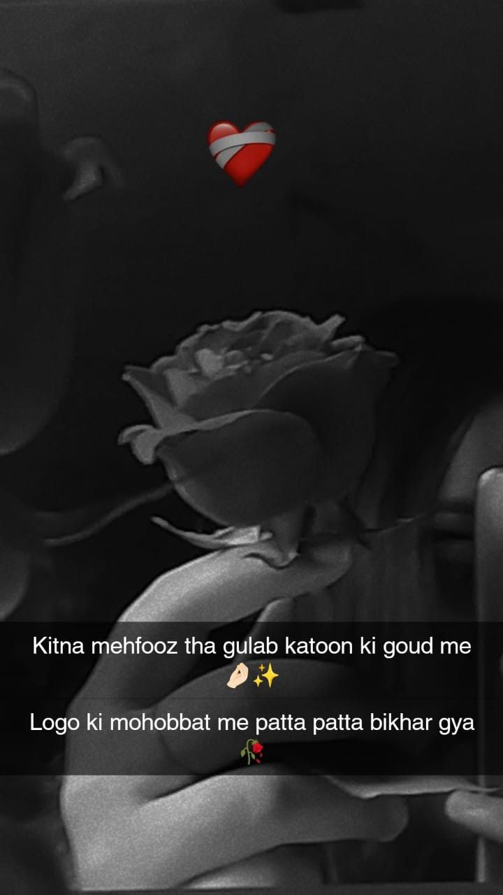 a black and white photo with a red rose in the middle, texting that reads kitna merhifoz tha quta kalon kion kiloon kio kri good me