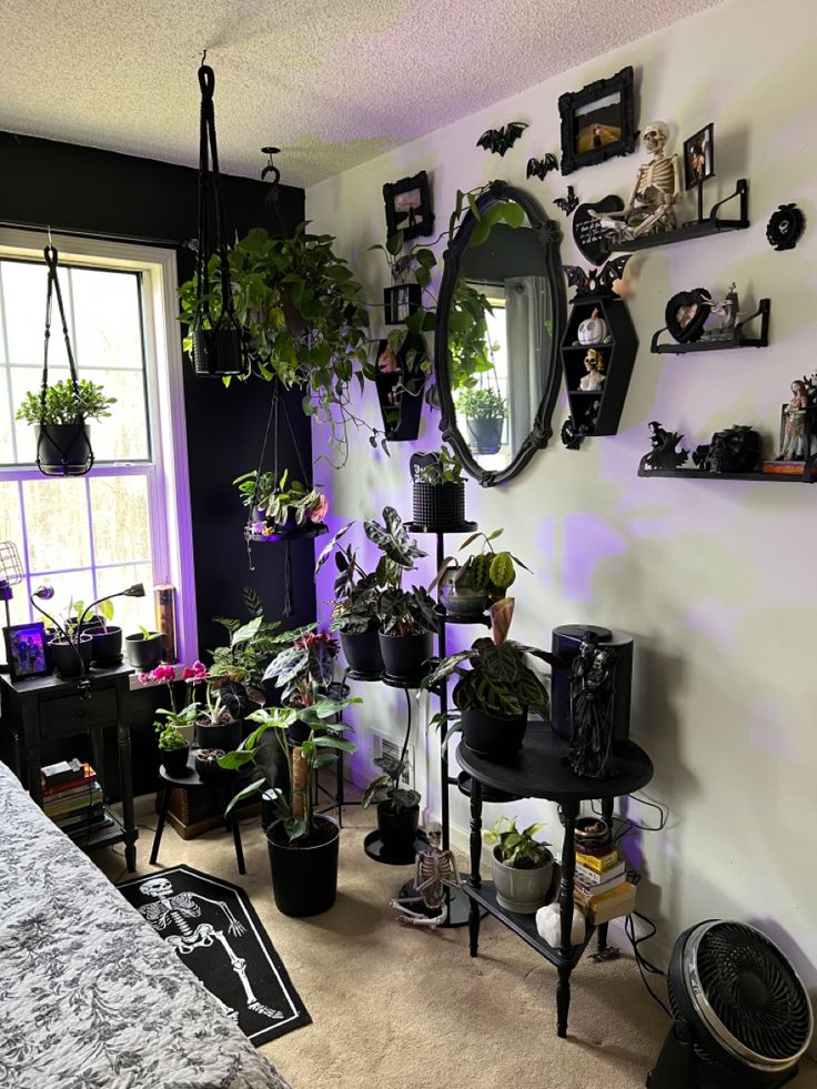 a room filled with lots of plants and potted plants next to a mirror on the wall