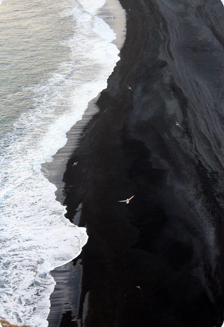 black sand beach with seagulls flying in the water and waves crashing on it