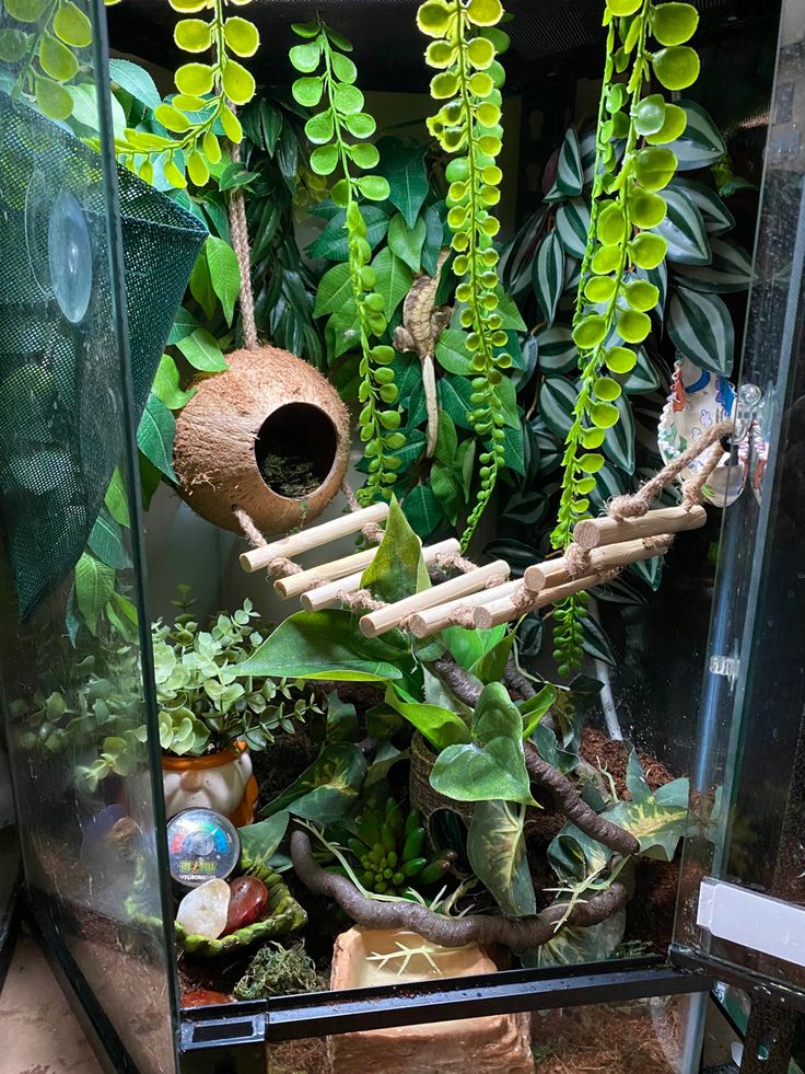 an aquarium filled with lots of plants and small birds in it's cages