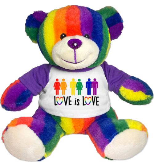 a rainbow teddy bear wearing a t - shirt with the words love is love on it