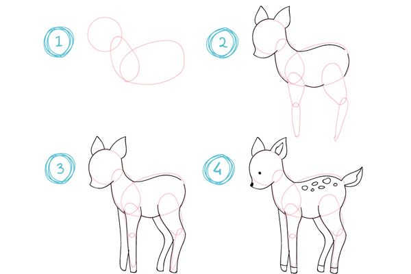 how to draw a baby deer step by step with pictures for kids and beginners