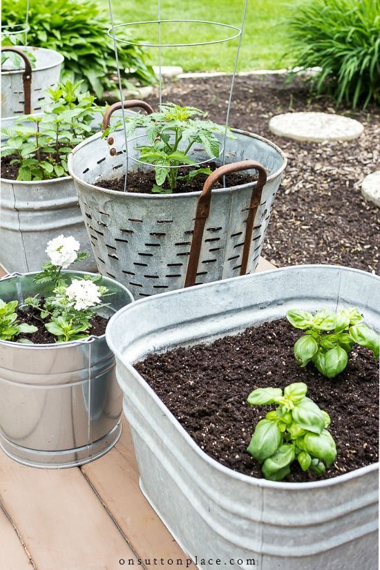 several metal buckets filled with plants and dirt