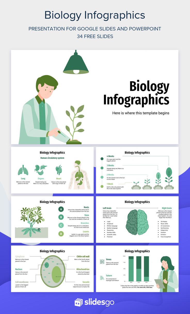 Biology Infographics Google Slides Templates Biology, Powerpoint Templates Biology, Biology Presentation Template, Biology Ppt Template, Biology Powerpoint Templates, Biology Presentation Design, Infographic Biology, Biology Presentation, Biology Powerpoint