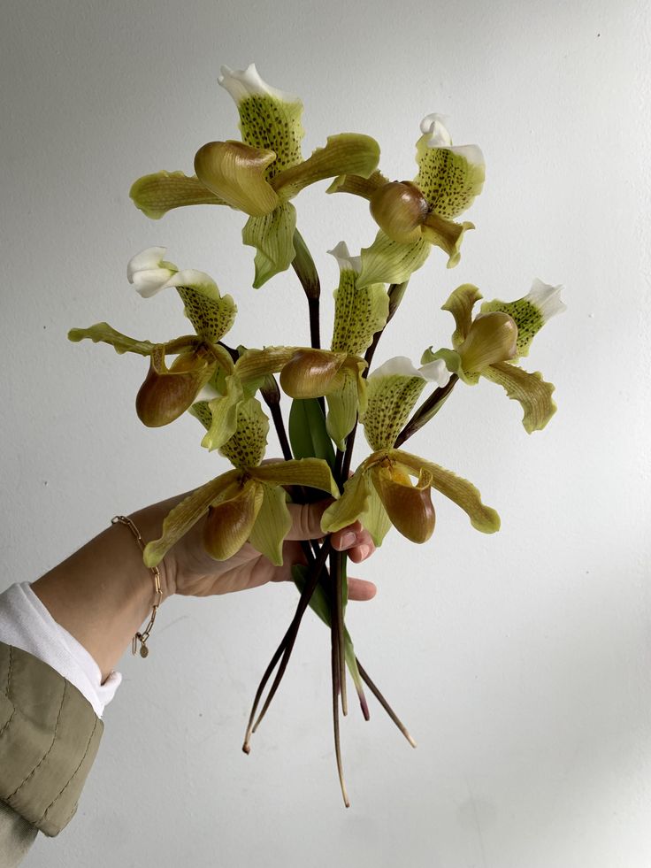 a person is holding a bouquet of flowers in their hand, with the stems still attached