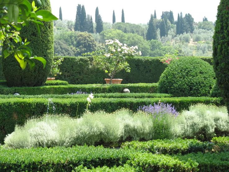 a garden filled with lots of green bushes and flowers next to tall trees on top of a lush green field