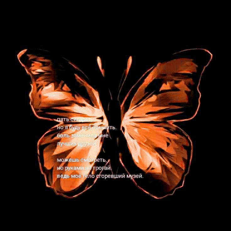 an orange butterfly with the words on it's wings in front of a black background