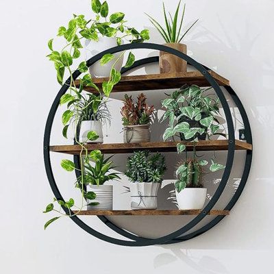 a circular shelf with plants on it in front of a white wall and a mirror