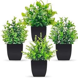 four black planters with green plants in them