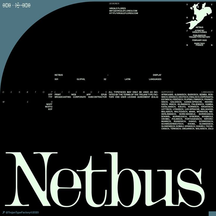 a black and white poster with the word netbus on it's front cover