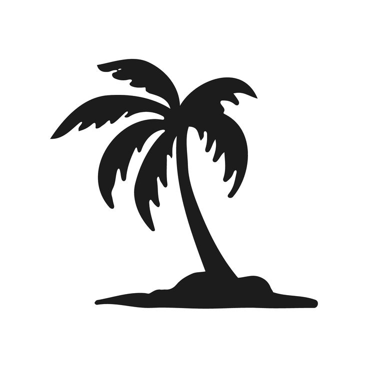 a black and white silhouette of a palm tree