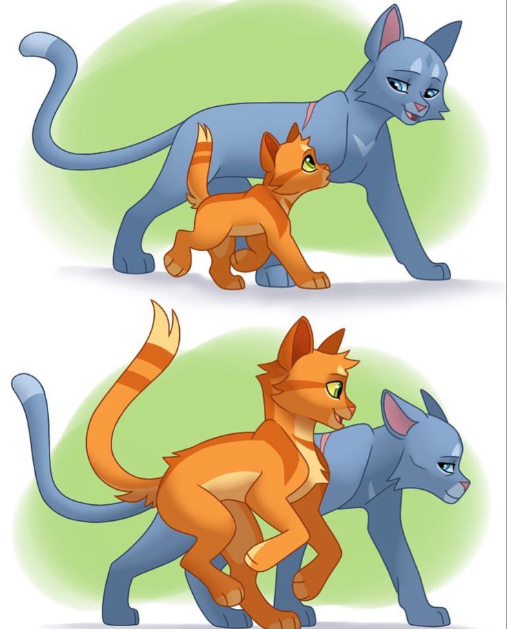 two cartoon cats are playing with each other