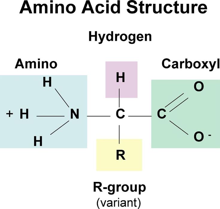 the diagram shows different types of hydrogens, which are represented in this figure below