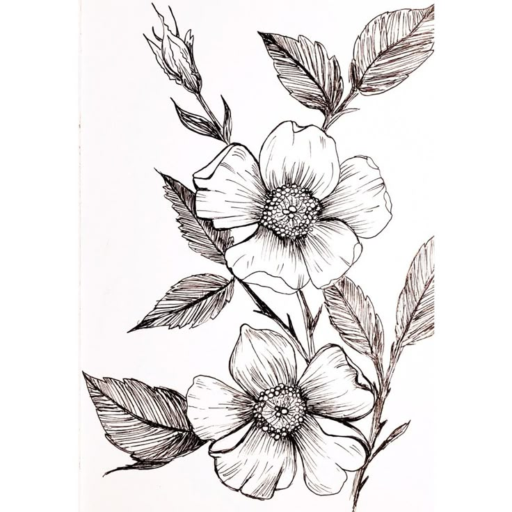 black and white drawing of flowers with leaves