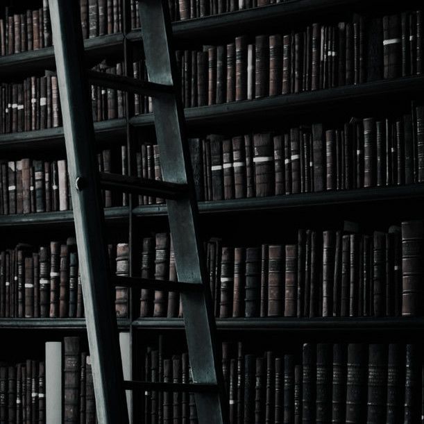 a ladder leaning up against a bookshelf filled with lots of bookcases