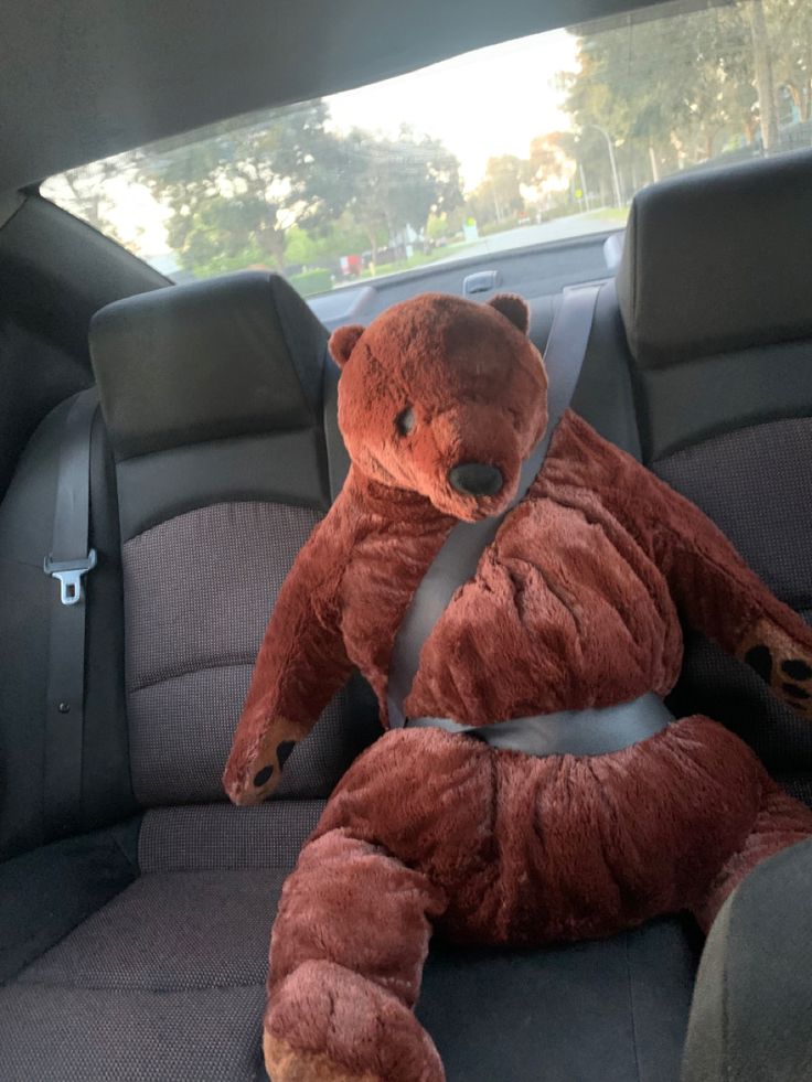 a brown teddy bear sitting in the back seat of a car