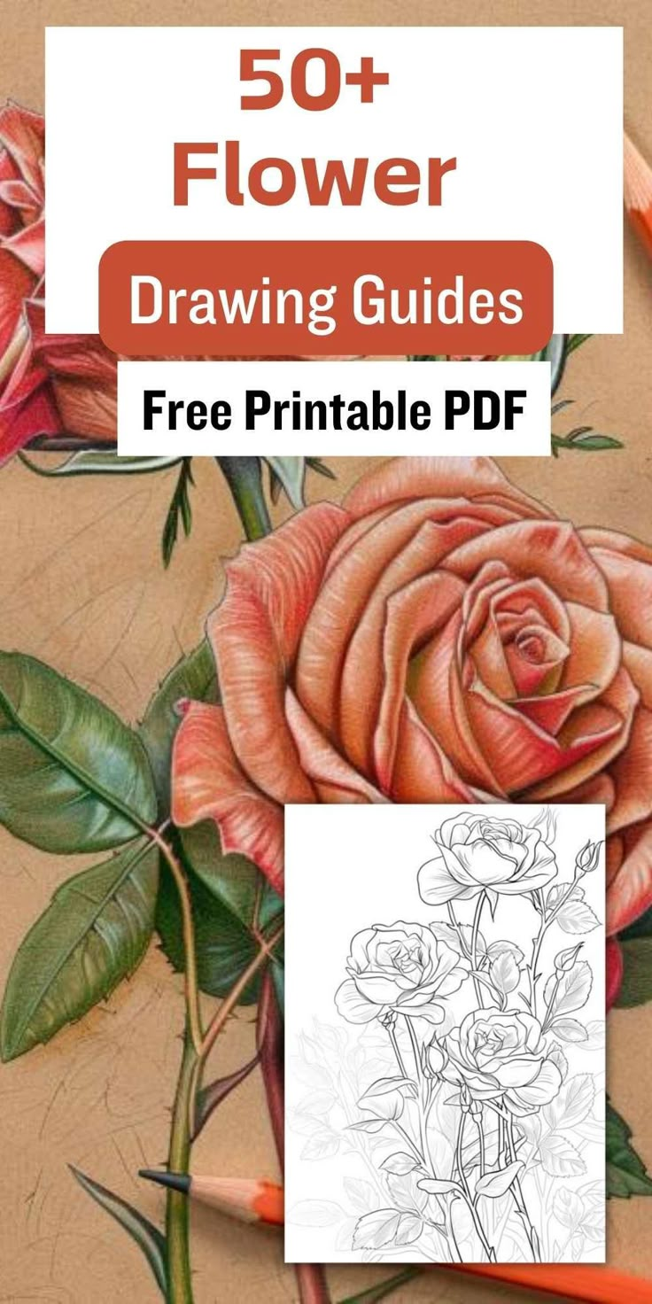 a drawing book with flowers on it and the title, 50 + flower drawing guides free printable