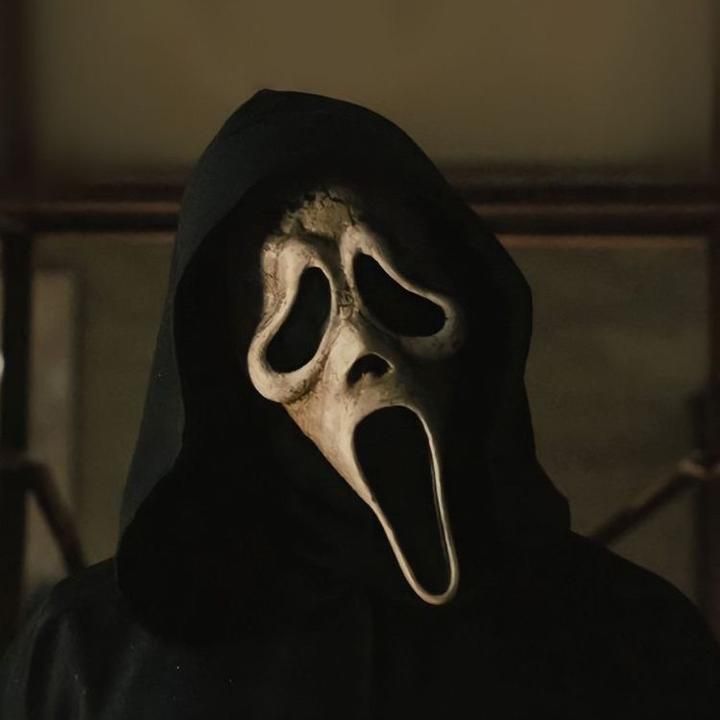 a person in a black hooded jacket with a mask on