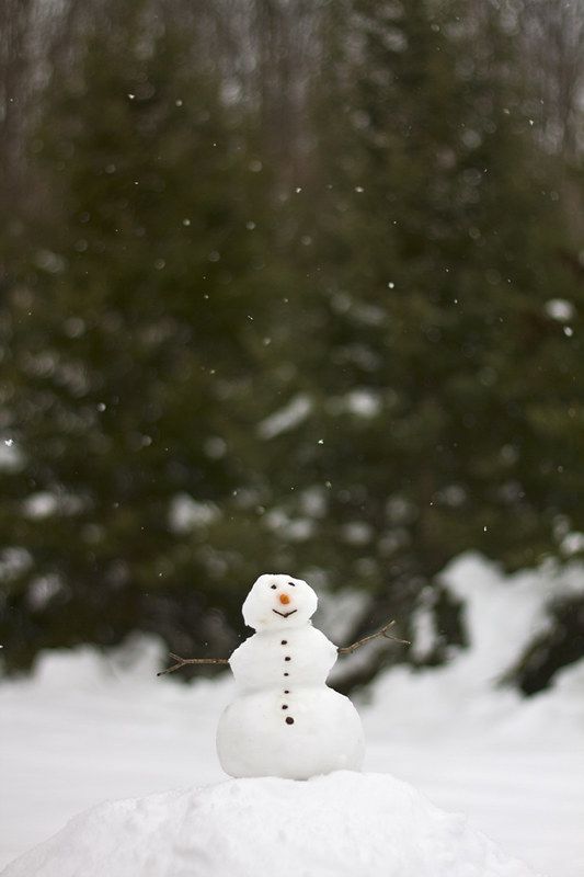 a snowman standing on top of a pile of snow in front of some trees